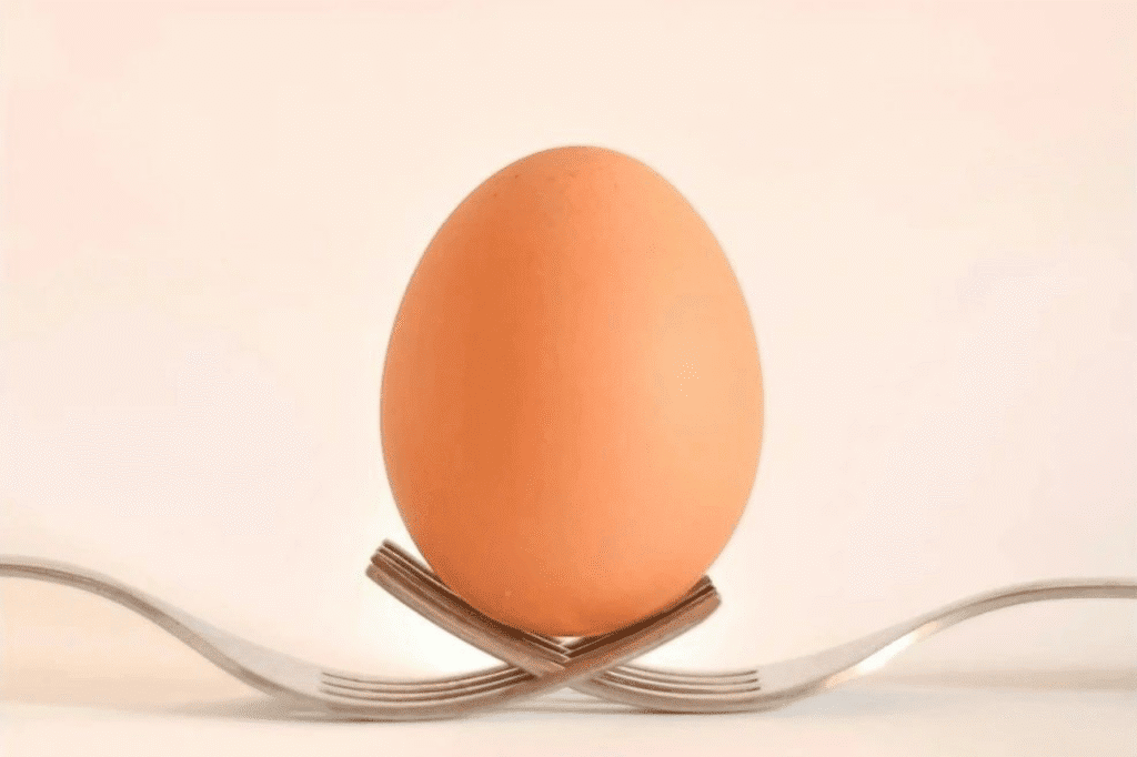 ALT TEXT: Brown egg delicately balanced on two crossed silver forks, symbolising fragility and stability under the pressure of leadership.
